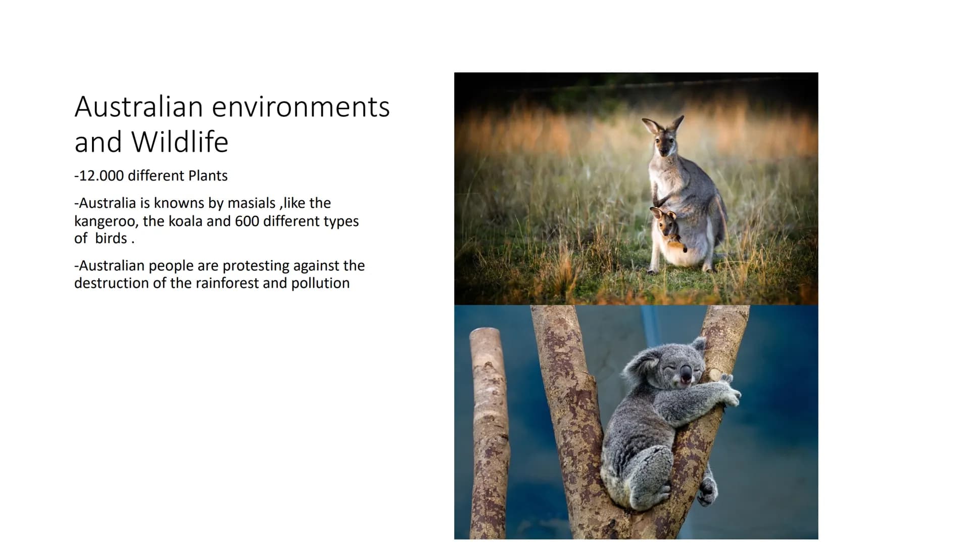 Australia structure
• goverment
land and climate
• Australian environments and wildlife
●
●
The Australian people
●
• Education
●
The Austra