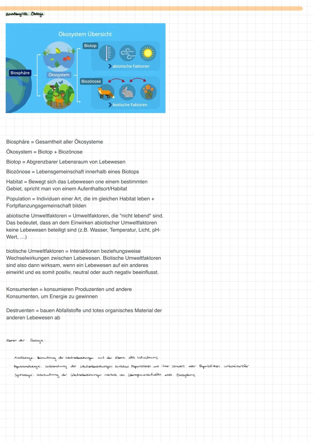 Grundbegriffe Ökologie
Biosphäre
Ökosystem Übersicht
Ökosystem
Biotop
Biozönose
abiotische Faktoren
biotische Faktoren
Biosphäre Gesamtheit 