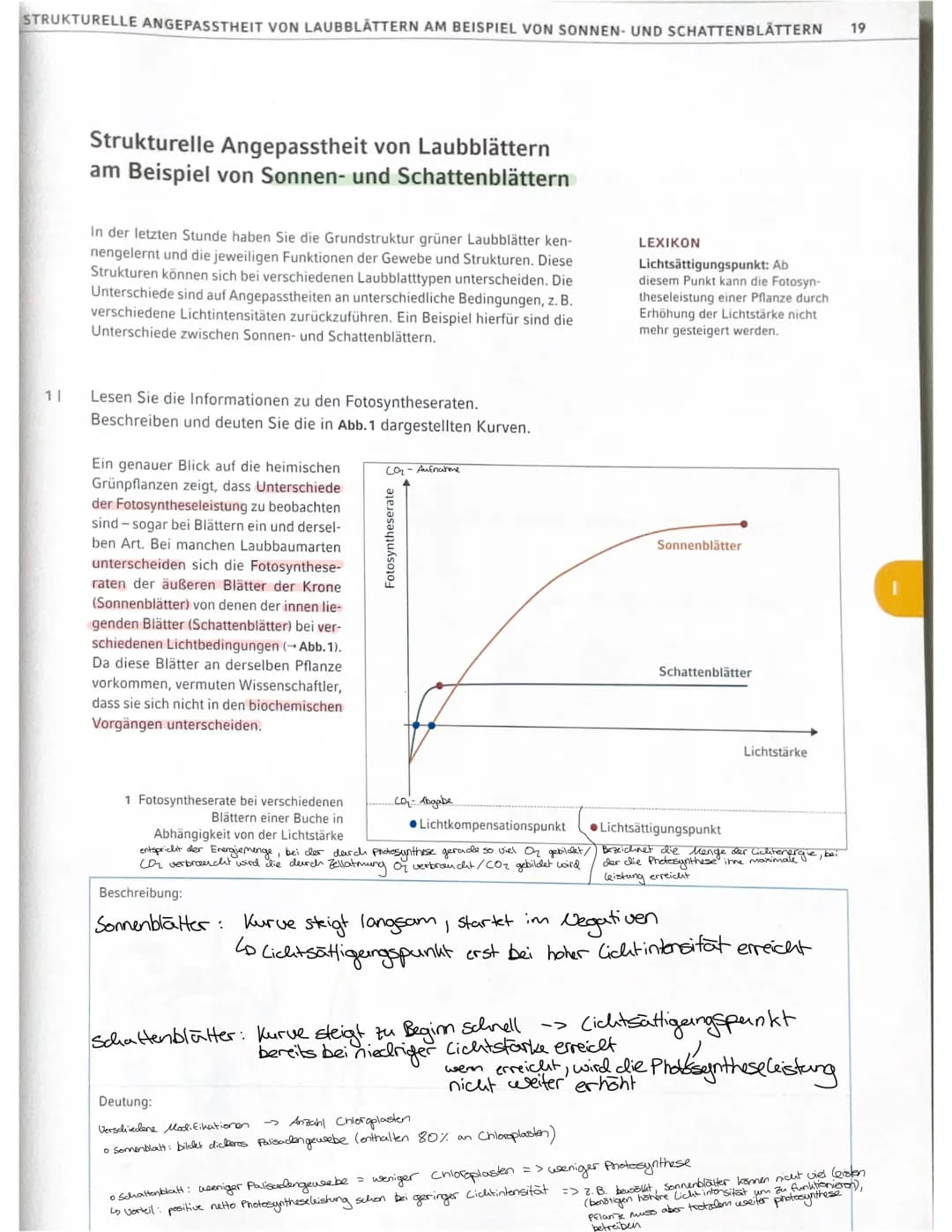 Grundbegriffe Ökologie
Biosphäre
Ökosystem Übersicht
Ökosystem
Biotop
Biozönose
abiotische Faktoren
biotische Faktoren
Biosphäre Gesamtheit 