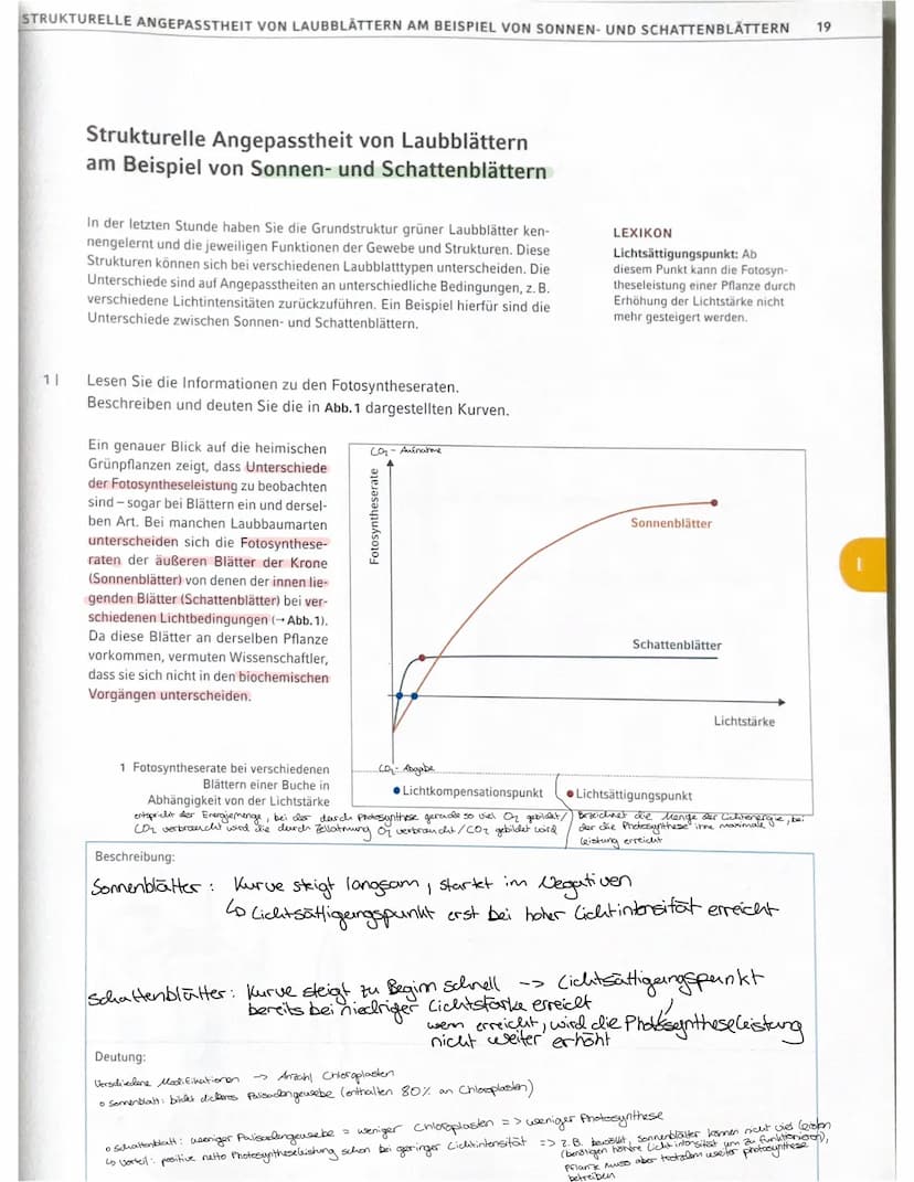 Grundbegriffe Ökologie
Biosphäre
Ökosystem Übersicht
Ökosystem
Biotop
Biozönose
abiotische Faktoren
biotische Faktoren
Biosphäre Gesamtheit 