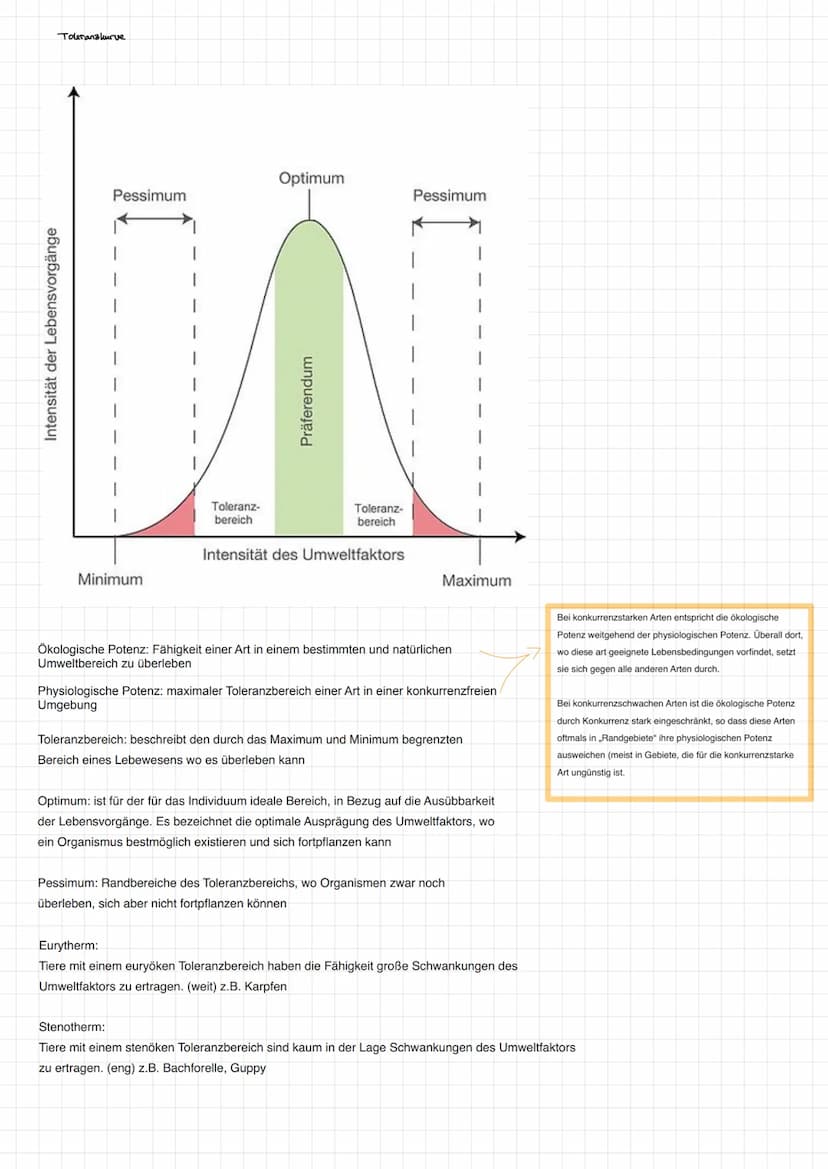 Grundbegriffe Ökologie
Biosphäre
Ökosystem Übersicht
Ökosystem
Biotop
Biozönose
abiotische Faktoren
biotische Faktoren
Biosphäre Gesamtheit 