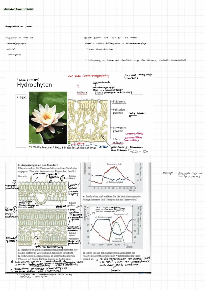Grundbegriffe Ökologie
Biosphäre
Ökosystem Übersicht
Ökosystem
Biotop
Biozönose
abiotische Faktoren
biotische Faktoren
Biosphäre Gesamtheit 