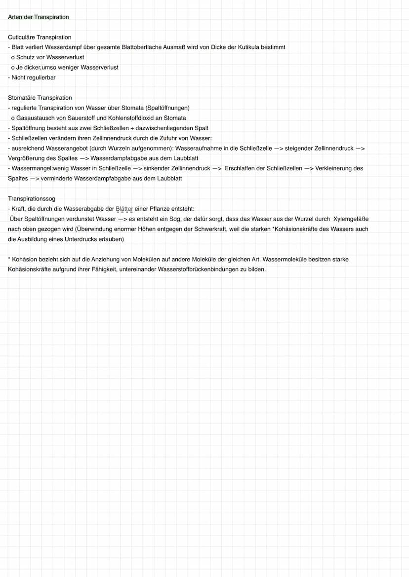 Grundbegriffe Ökologie
Biosphäre
Ökosystem Übersicht
Ökosystem
Biotop
Biozönose
abiotische Faktoren
biotische Faktoren
Biosphäre Gesamtheit 