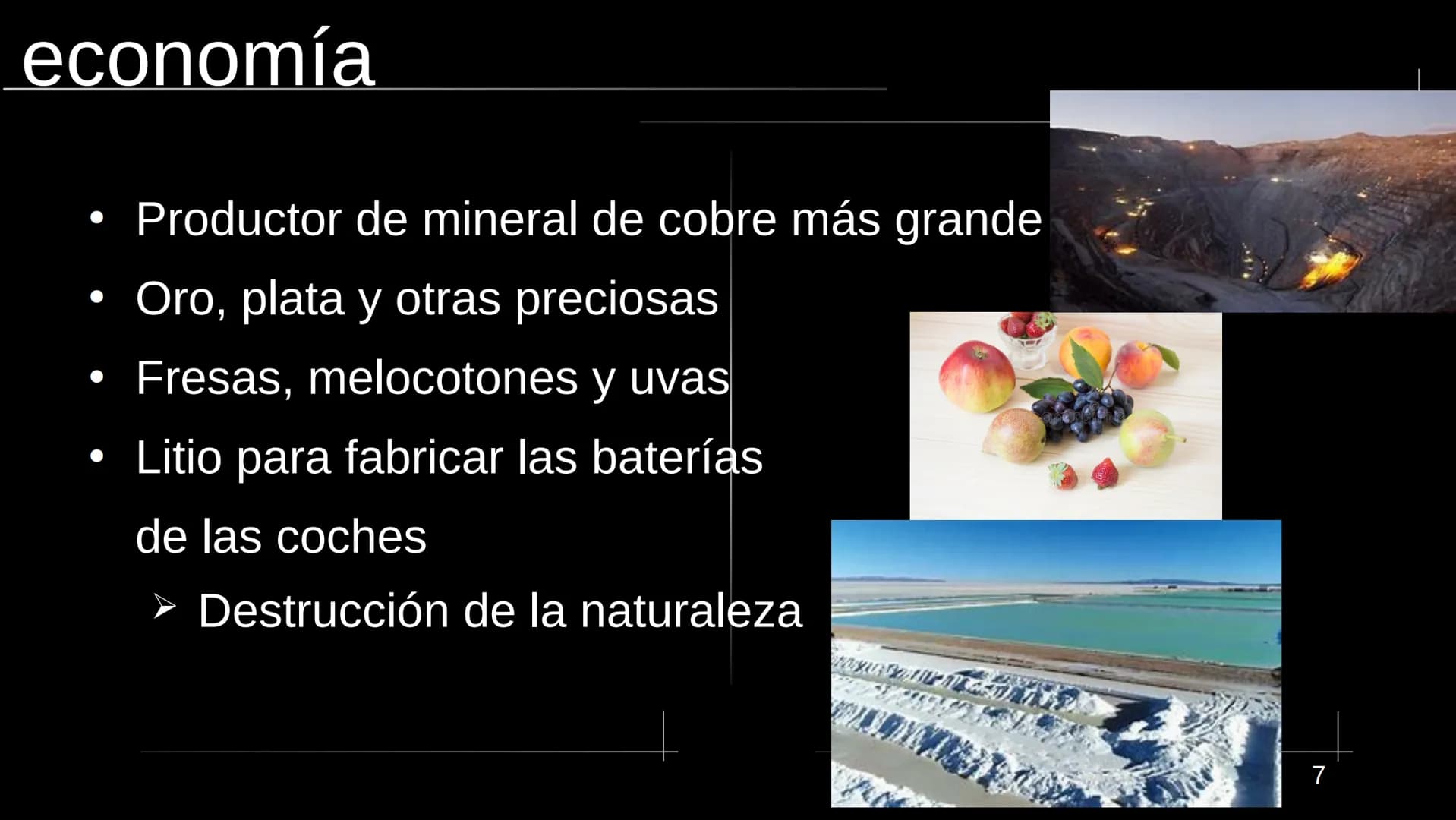  13333
www Chile La estructura
●
●
●
La naturaleza
●
La economía
La historia
La dictadura de Pinochet
La cultura
• Las fuentes
● geografía y