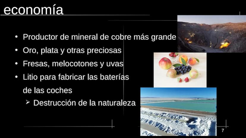  13333
www Chile La estructura
●
●
●
La naturaleza
●
La economía
La historia
La dictadura de Pinochet
La cultura
• Las fuentes
● geografía y