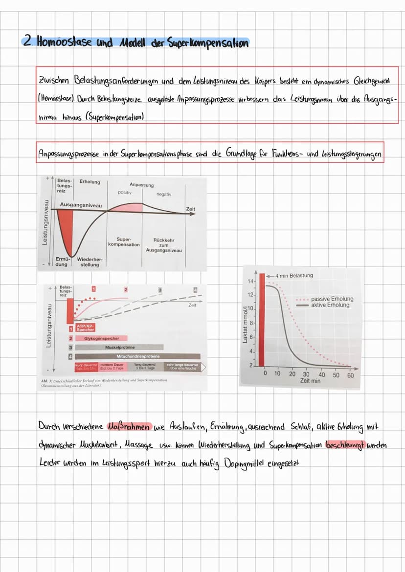 Allgemeine Gesetzmäßigkeiten des Trainings
1. Qualitätsgesel?
2. Homöostase und Modell der Superkompensation
3 Reizschwellengesetz
4 Verlauf