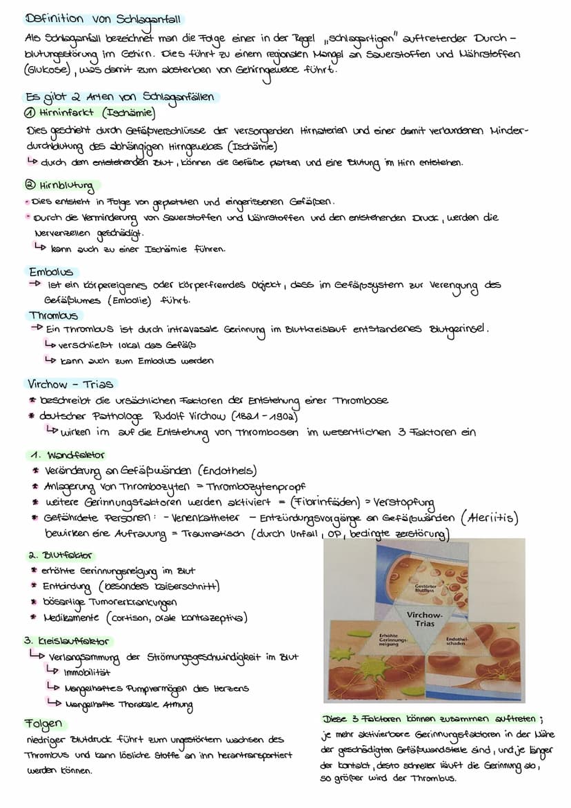 Entstehungszusammenhänge des Schlaganfalls
Entstehungszusammenhänge
des Schlaganfalls
Risikofaktoren
Endogene
Faktoren
• Gene
• Alter
.
Gesc