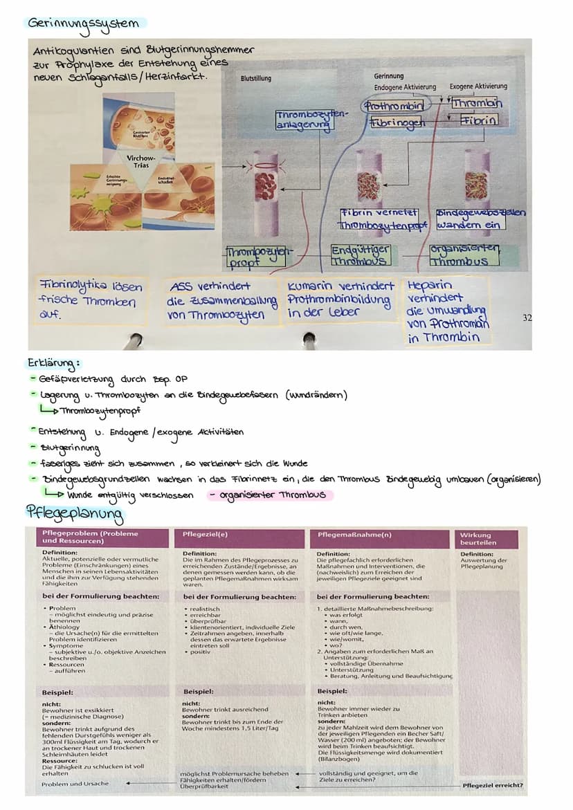 Entstehungszusammenhänge des Schlaganfalls
Entstehungszusammenhänge
des Schlaganfalls
Risikofaktoren
Endogene
Faktoren
• Gene
• Alter
.
Gesc