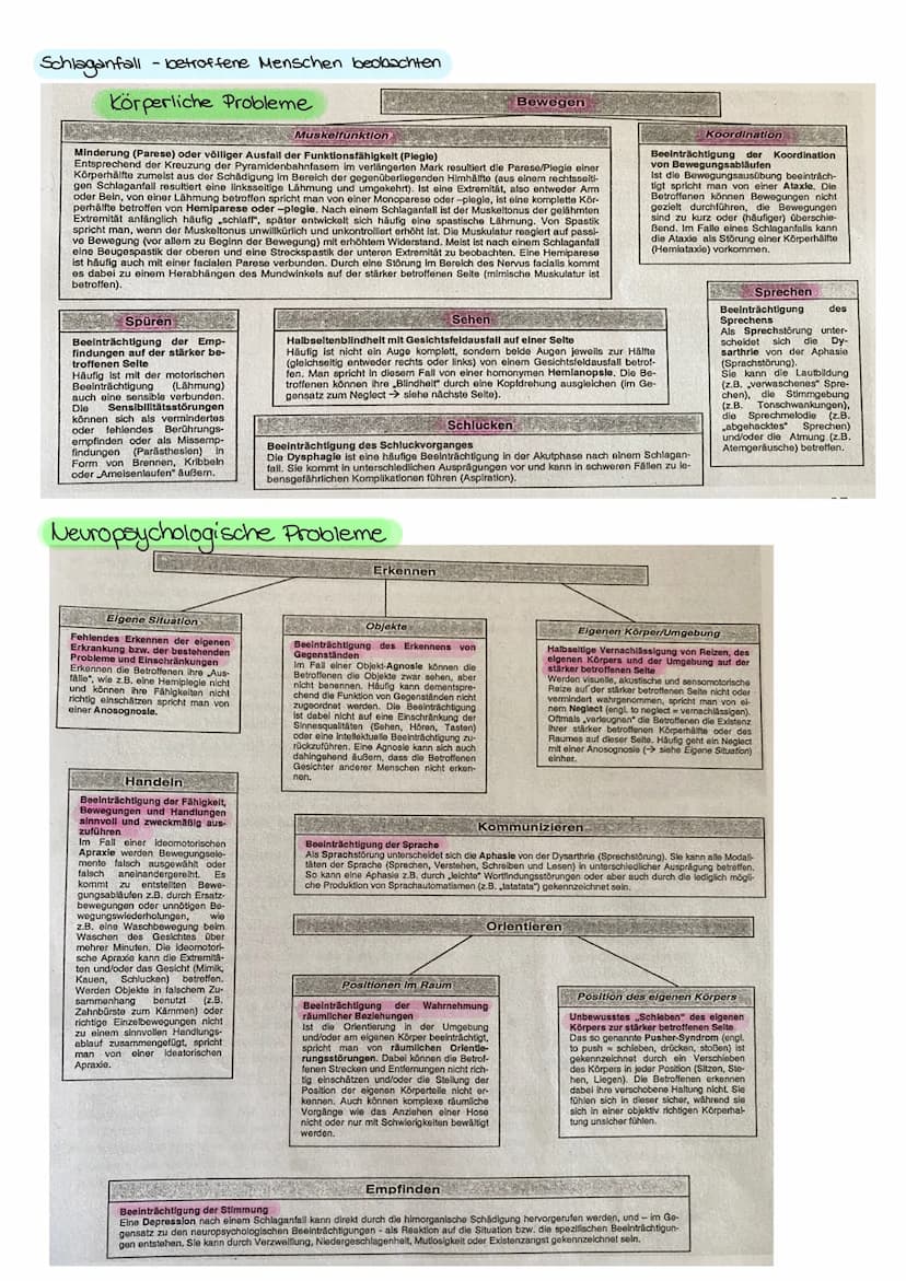 Entstehungszusammenhänge des Schlaganfalls
Entstehungszusammenhänge
des Schlaganfalls
Risikofaktoren
Endogene
Faktoren
• Gene
• Alter
.
Gesc