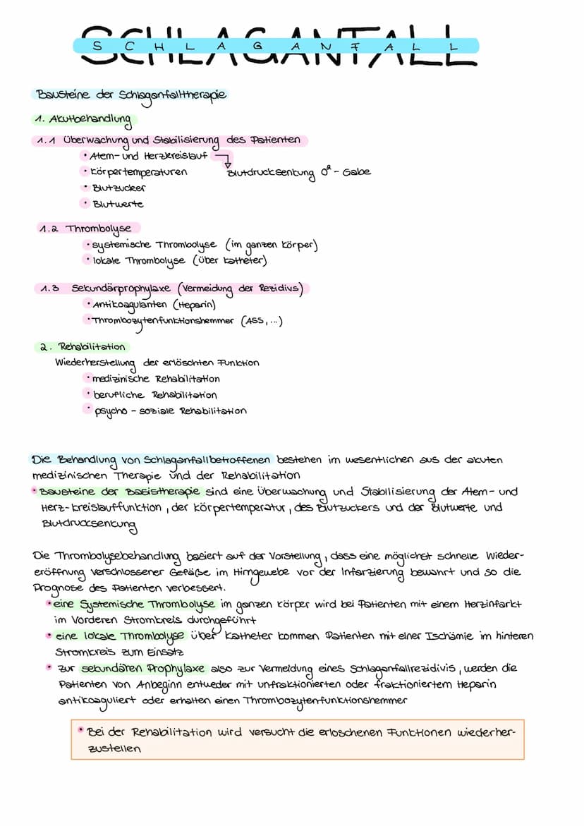 Entstehungszusammenhänge des Schlaganfalls
Entstehungszusammenhänge
des Schlaganfalls
Risikofaktoren
Endogene
Faktoren
• Gene
• Alter
.
Gesc