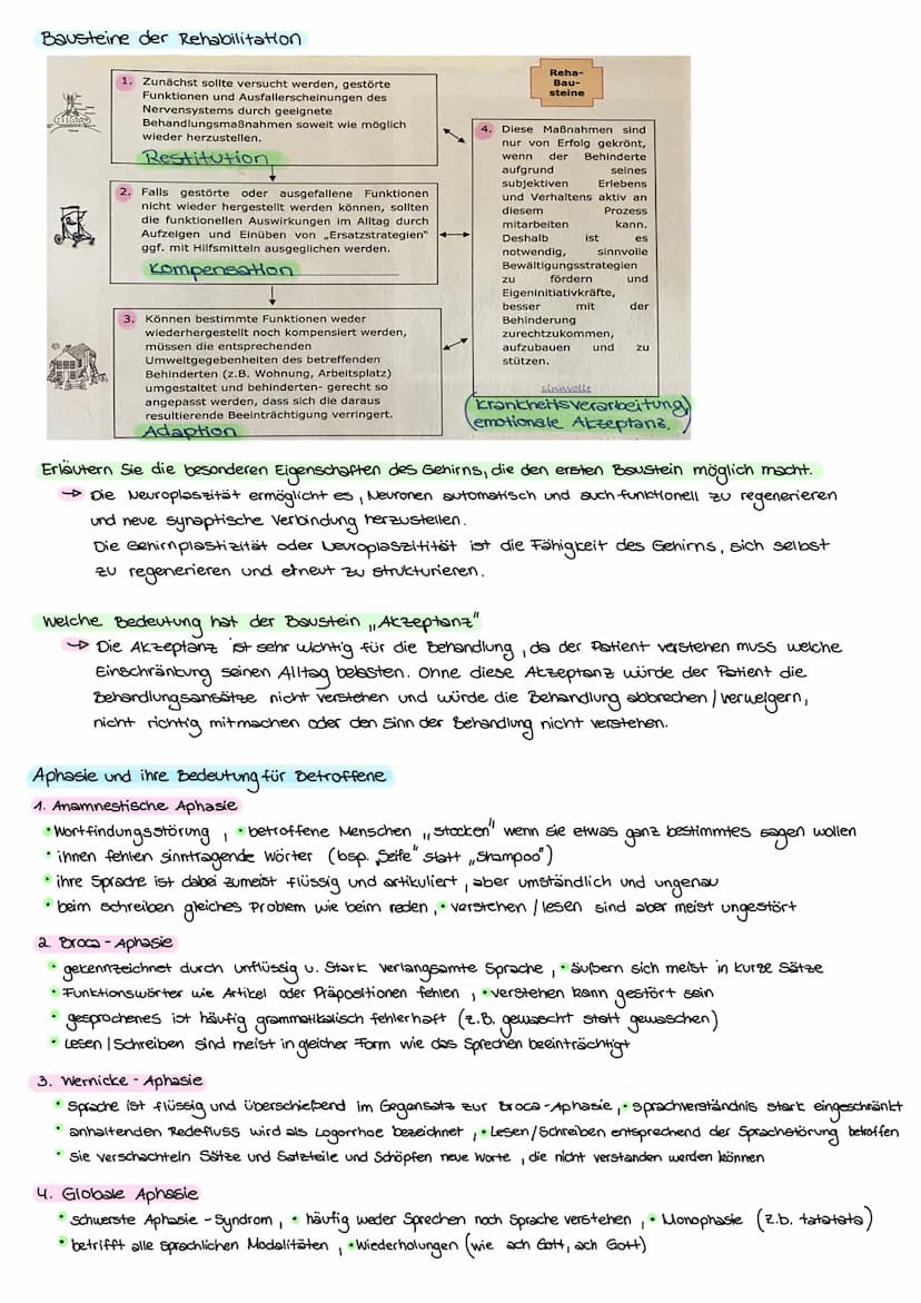 Entstehungszusammenhänge des Schlaganfalls
Entstehungszusammenhänge
des Schlaganfalls
Risikofaktoren
Endogene
Faktoren
• Gene
• Alter
.
Gesc