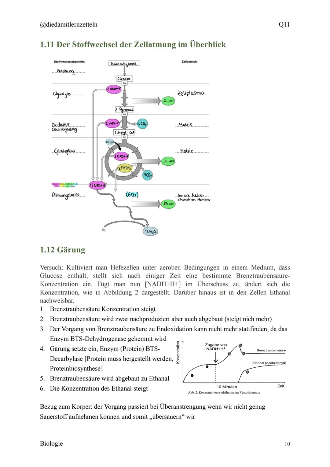 @diedamitlernzetteln
Biologie Zusammenfassung Q11
Biologie Zusammenfassung Q11
1.1 Organisation und Funktion der Zelle
1.2 Bau und Funktion 