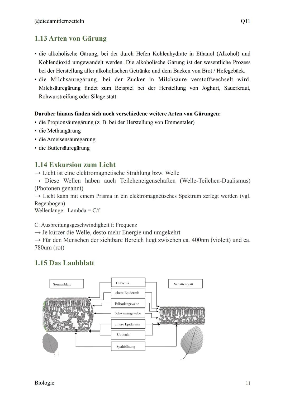 @diedamitlernzetteln
Biologie Zusammenfassung Q11
Biologie Zusammenfassung Q11
1.1 Organisation und Funktion der Zelle
1.2 Bau und Funktion 