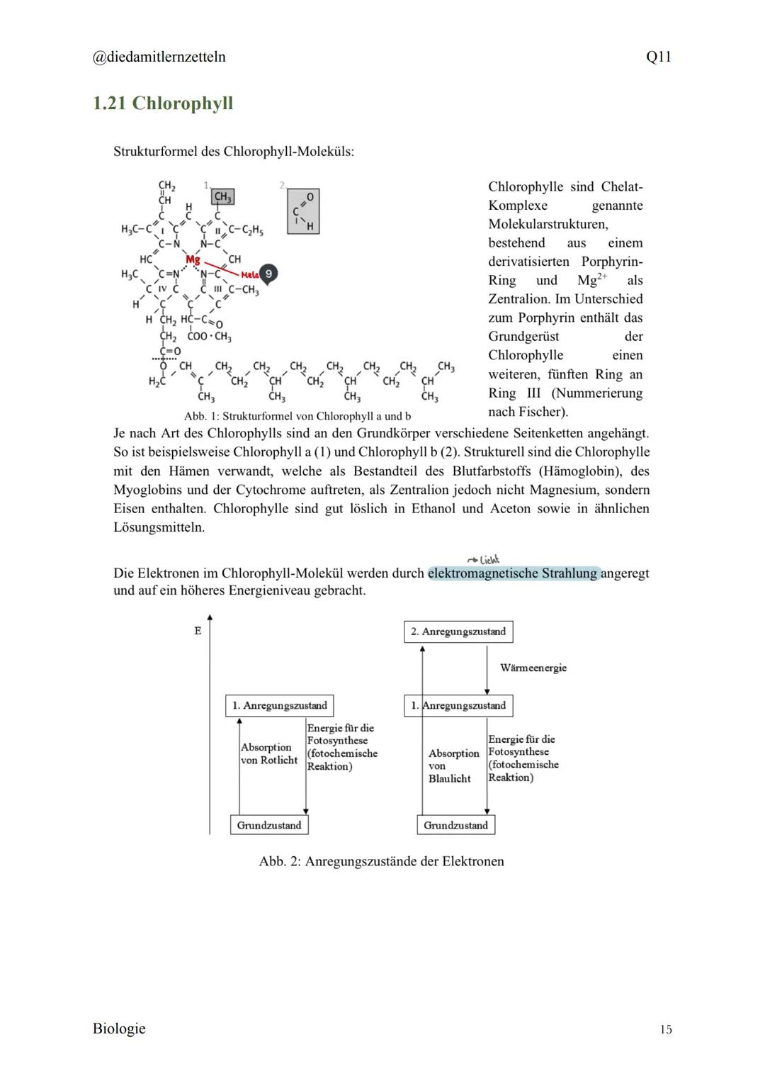 @diedamitlernzetteln
Biologie Zusammenfassung Q11
Biologie Zusammenfassung Q11
1.1 Organisation und Funktion der Zelle
1.2 Bau und Funktion 