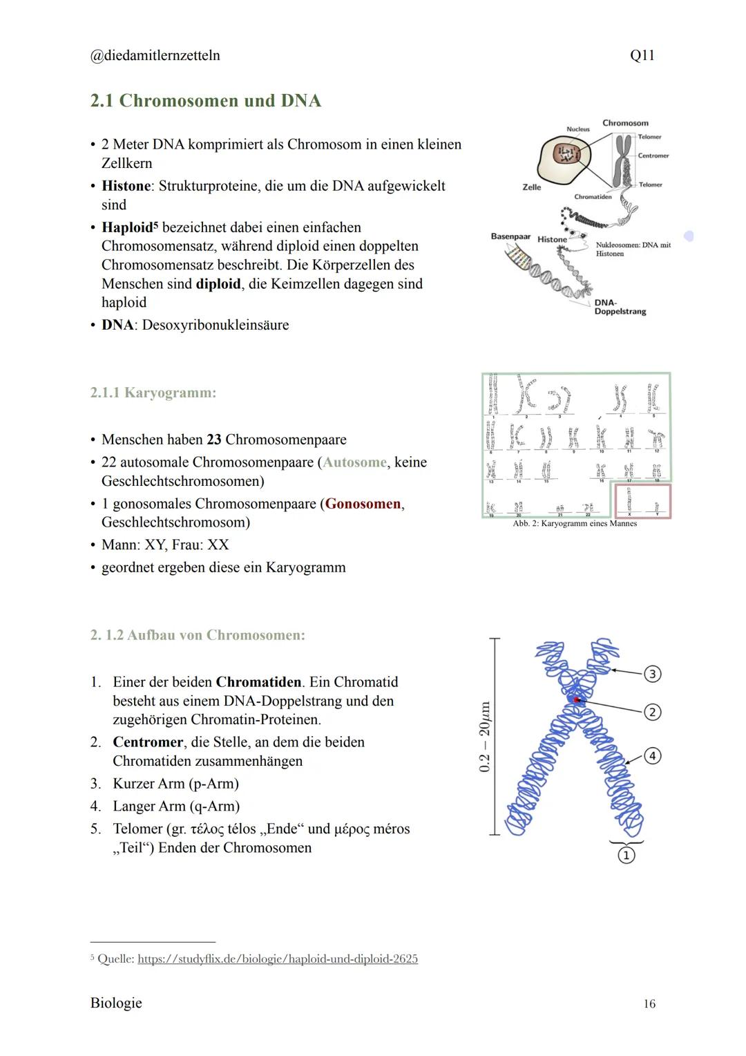 @diedamitlernzetteln
Biologie Zusammenfassung Q11
Biologie Zusammenfassung Q11
1.1 Organisation und Funktion der Zelle
1.2 Bau und Funktion 