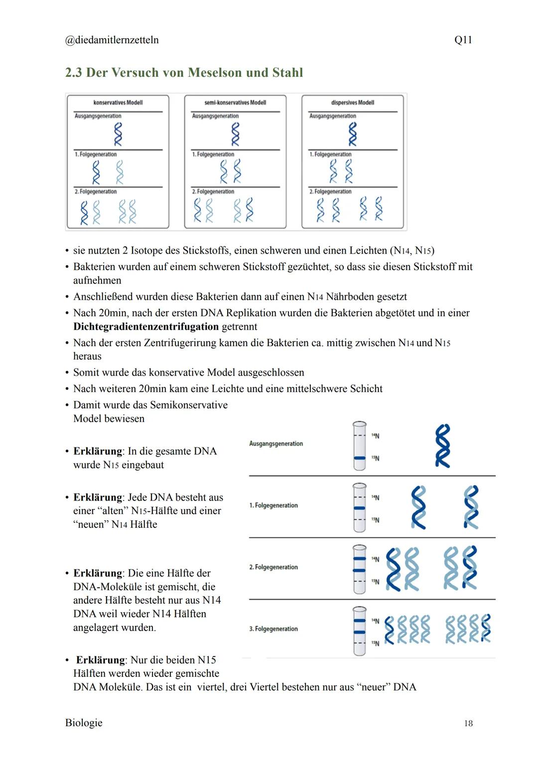 @diedamitlernzetteln
Biologie Zusammenfassung Q11
Biologie Zusammenfassung Q11
1.1 Organisation und Funktion der Zelle
1.2 Bau und Funktion 