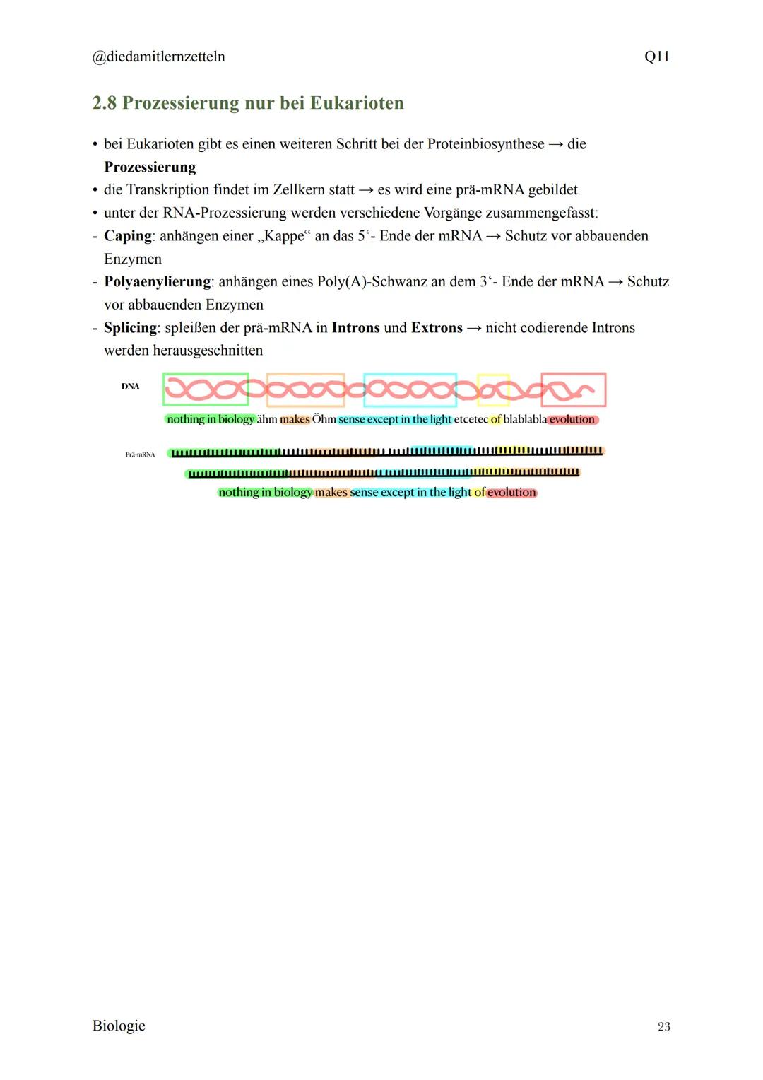 @diedamitlernzetteln
Biologie Zusammenfassung Q11
Biologie Zusammenfassung Q11
1.1 Organisation und Funktion der Zelle
1.2 Bau und Funktion 