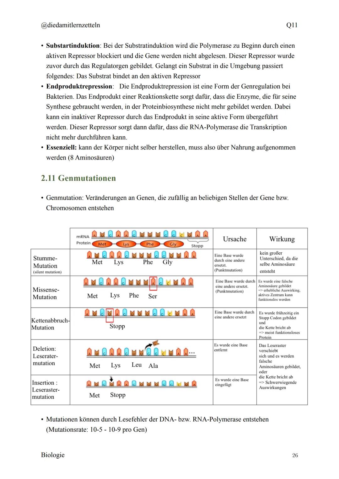 @diedamitlernzetteln
Biologie Zusammenfassung Q11
Biologie Zusammenfassung Q11
1.1 Organisation und Funktion der Zelle
1.2 Bau und Funktion 