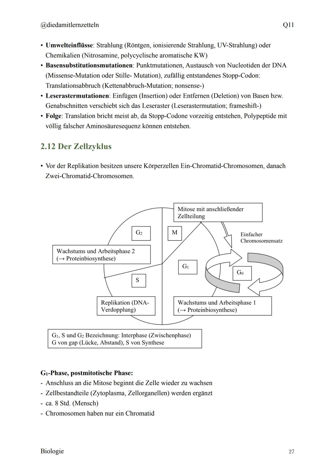 @diedamitlernzetteln
Biologie Zusammenfassung Q11
Biologie Zusammenfassung Q11
1.1 Organisation und Funktion der Zelle
1.2 Bau und Funktion 