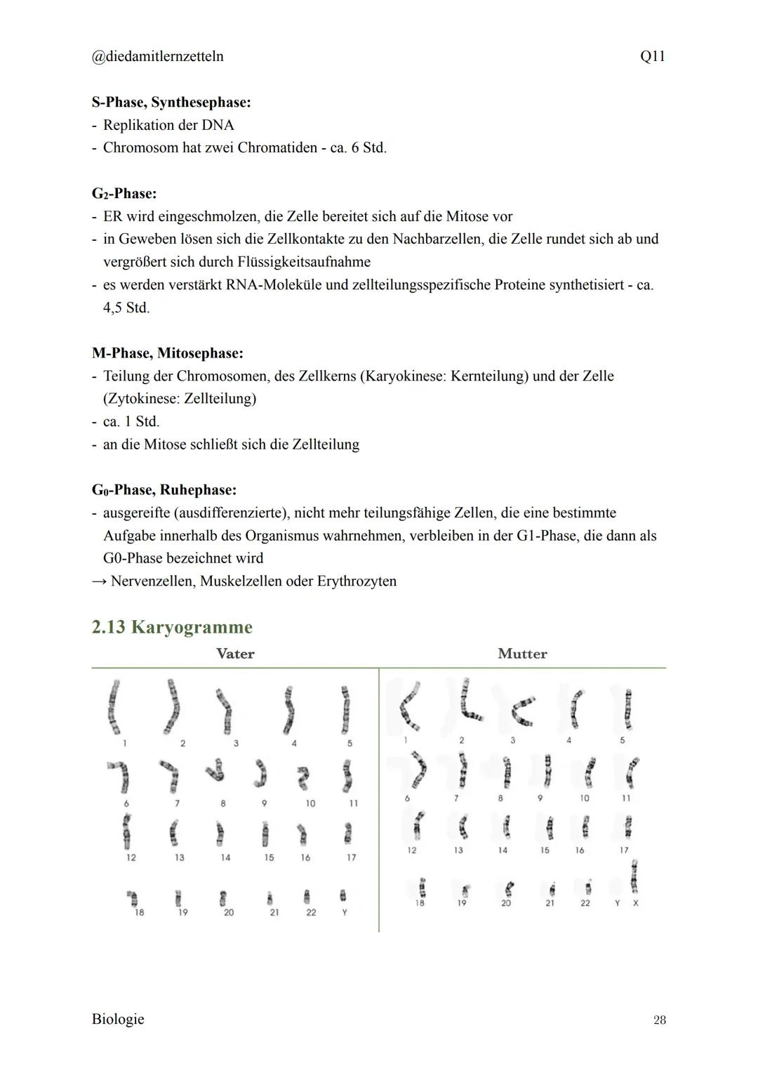 @diedamitlernzetteln
Biologie Zusammenfassung Q11
Biologie Zusammenfassung Q11
1.1 Organisation und Funktion der Zelle
1.2 Bau und Funktion 