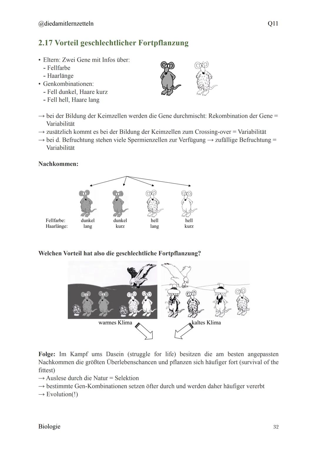 @diedamitlernzetteln
Biologie Zusammenfassung Q11
Biologie Zusammenfassung Q11
1.1 Organisation und Funktion der Zelle
1.2 Bau und Funktion 