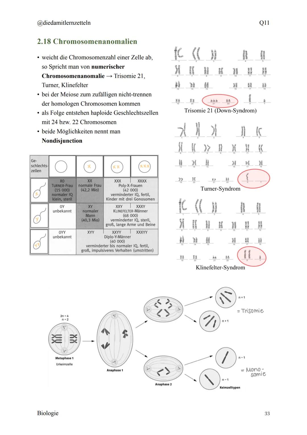 @diedamitlernzetteln
Biologie Zusammenfassung Q11
Biologie Zusammenfassung Q11
1.1 Organisation und Funktion der Zelle
1.2 Bau und Funktion 