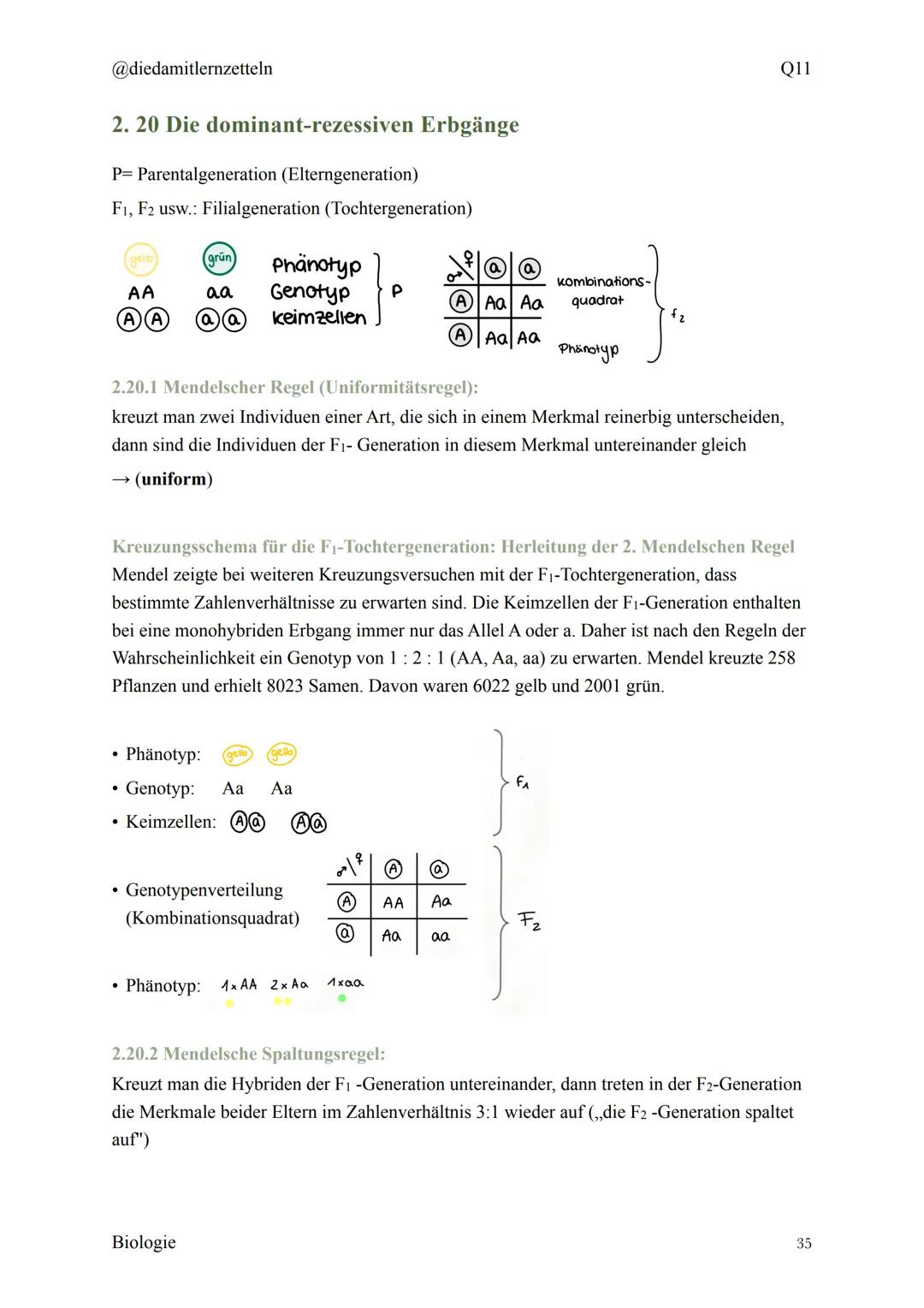 @diedamitlernzetteln
Biologie Zusammenfassung Q11
Biologie Zusammenfassung Q11
1.1 Organisation und Funktion der Zelle
1.2 Bau und Funktion 