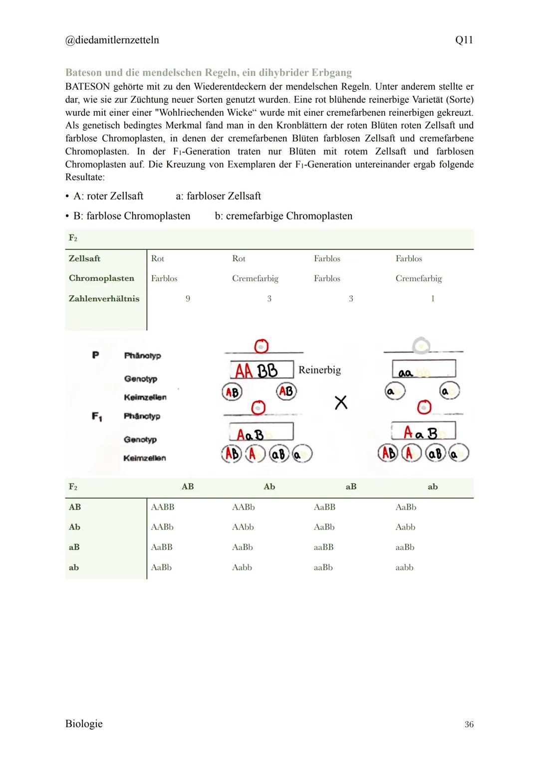 @diedamitlernzetteln
Biologie Zusammenfassung Q11
Biologie Zusammenfassung Q11
1.1 Organisation und Funktion der Zelle
1.2 Bau und Funktion 