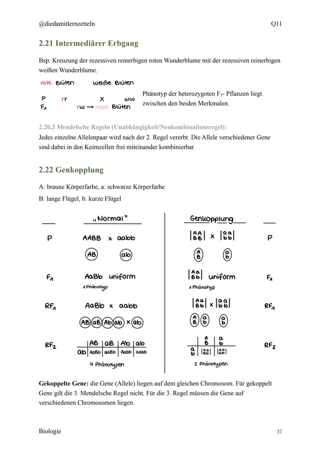 @diedamitlernzetteln
Biologie Zusammenfassung Q11
Biologie Zusammenfassung Q11
1.1 Organisation und Funktion der Zelle
1.2 Bau und Funktion 