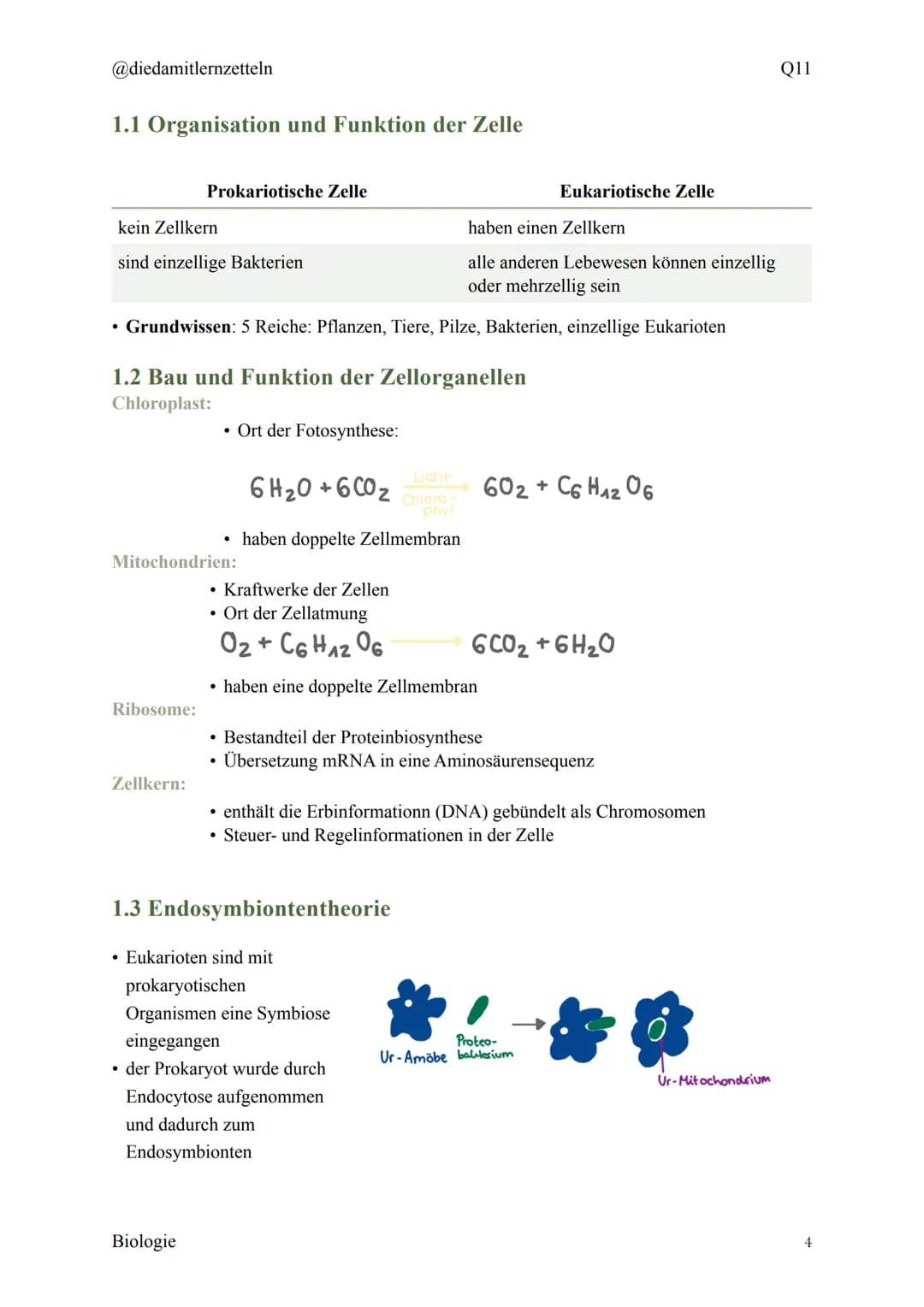 @diedamitlernzetteln
Biologie Zusammenfassung Q11
Biologie Zusammenfassung Q11
1.1 Organisation und Funktion der Zelle
1.2 Bau und Funktion 