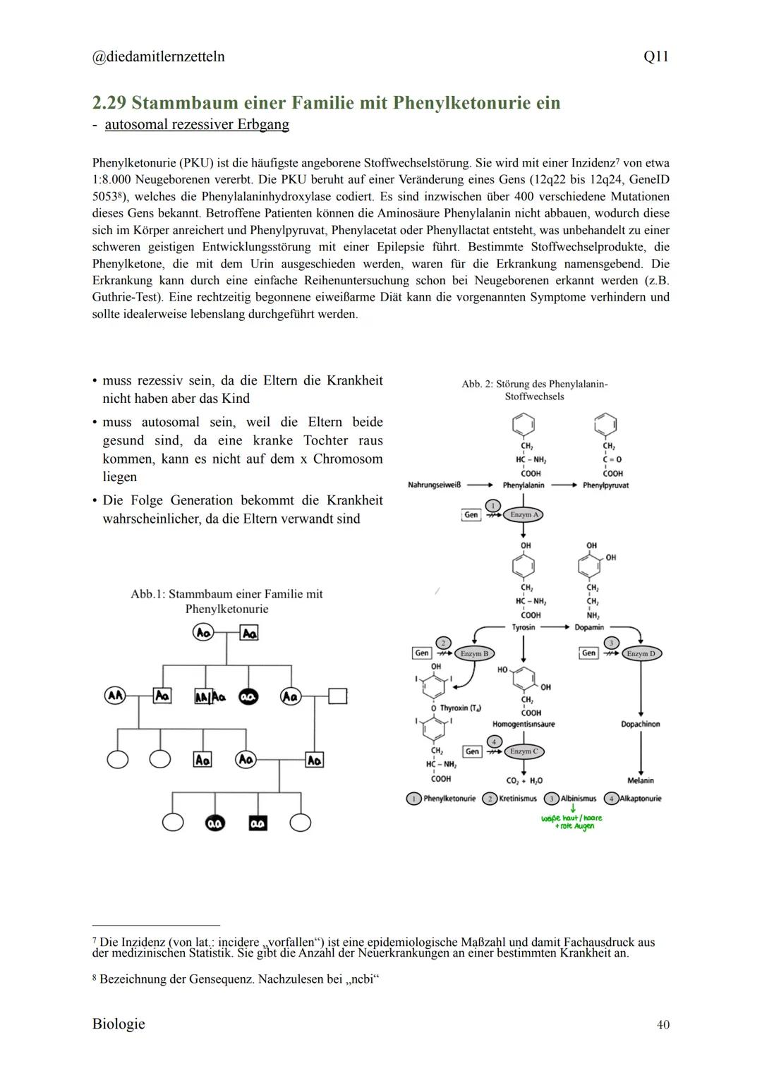 @diedamitlernzetteln
Biologie Zusammenfassung Q11
Biologie Zusammenfassung Q11
1.1 Organisation und Funktion der Zelle
1.2 Bau und Funktion 