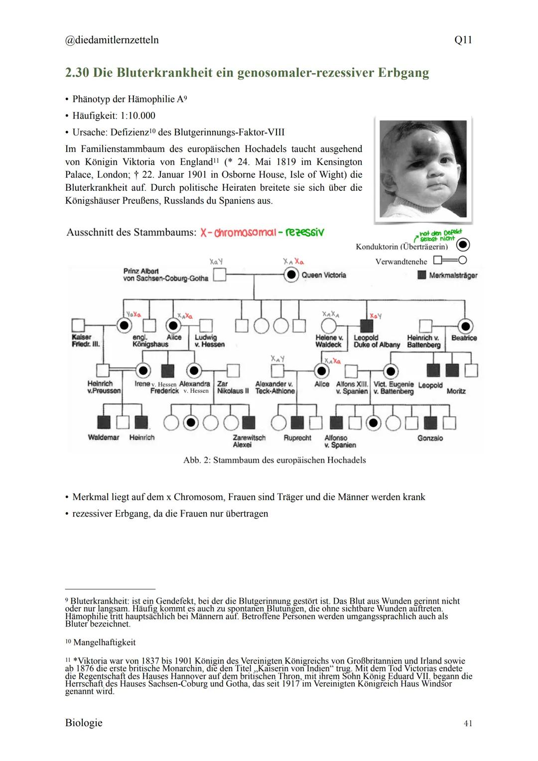 @diedamitlernzetteln
Biologie Zusammenfassung Q11
Biologie Zusammenfassung Q11
1.1 Organisation und Funktion der Zelle
1.2 Bau und Funktion 