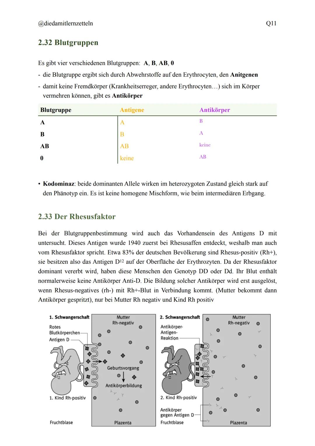 @diedamitlernzetteln
Biologie Zusammenfassung Q11
Biologie Zusammenfassung Q11
1.1 Organisation und Funktion der Zelle
1.2 Bau und Funktion 