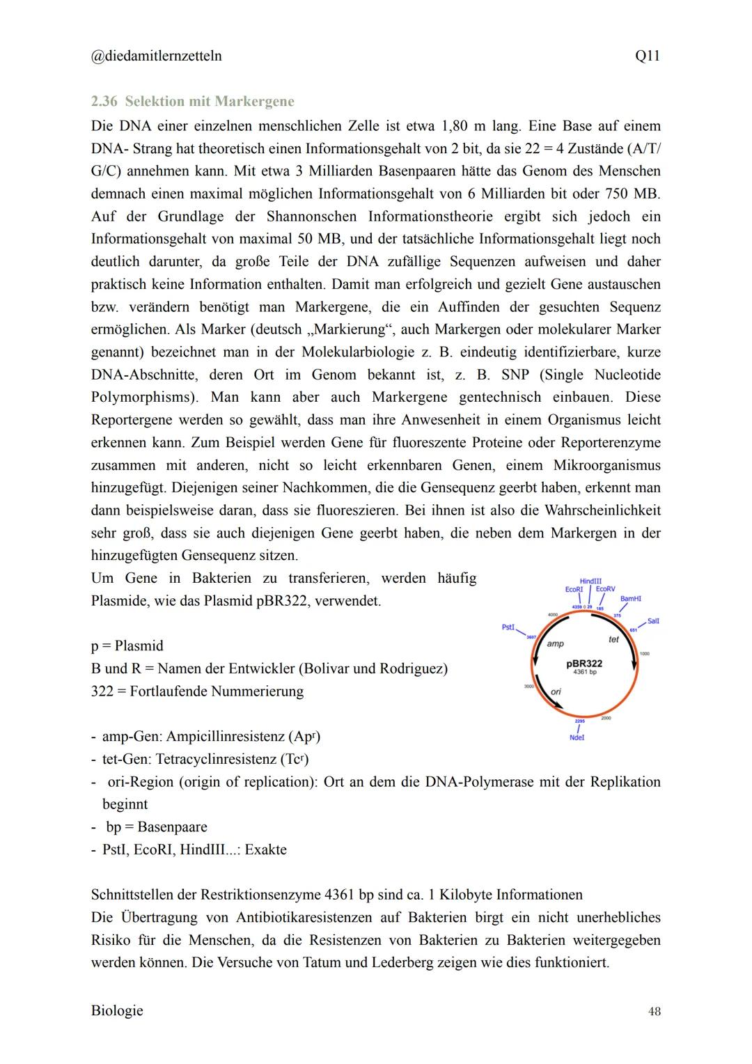 @diedamitlernzetteln
Biologie Zusammenfassung Q11
Biologie Zusammenfassung Q11
1.1 Organisation und Funktion der Zelle
1.2 Bau und Funktion 