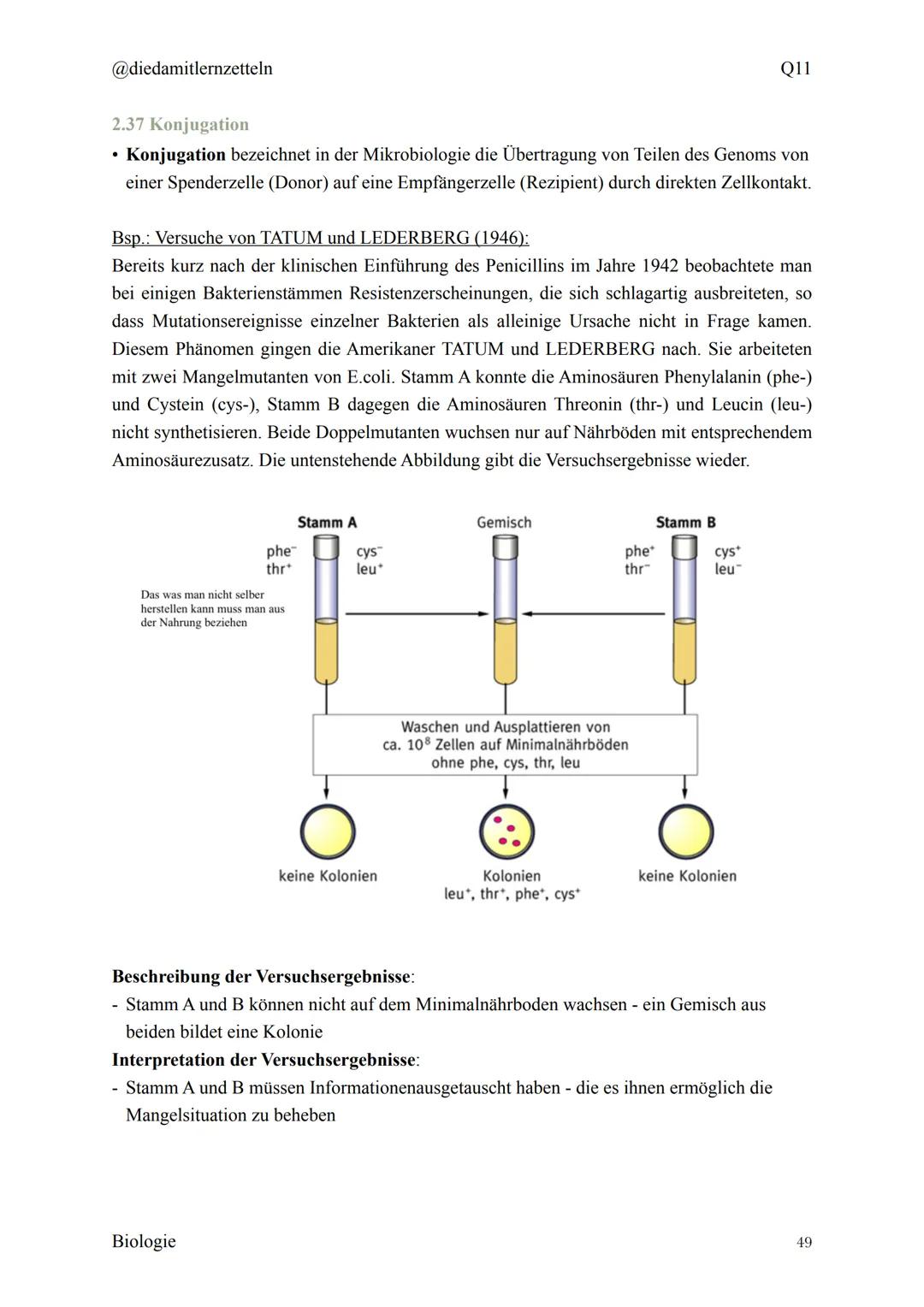 @diedamitlernzetteln
Biologie Zusammenfassung Q11
Biologie Zusammenfassung Q11
1.1 Organisation und Funktion der Zelle
1.2 Bau und Funktion 