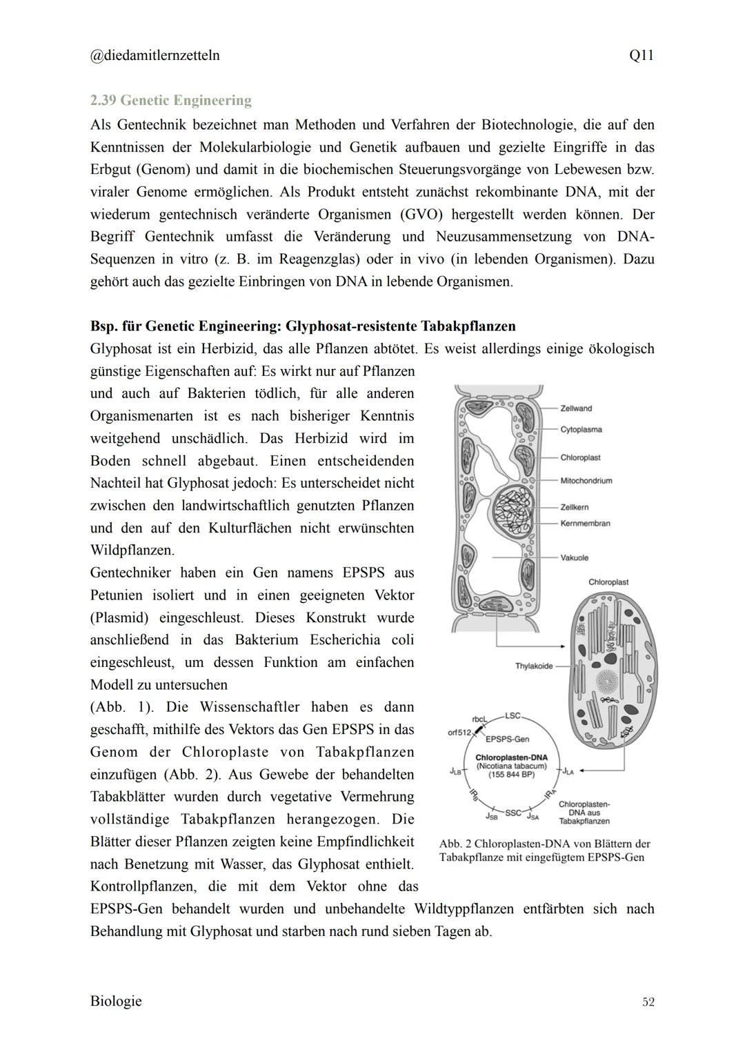 @diedamitlernzetteln
Biologie Zusammenfassung Q11
Biologie Zusammenfassung Q11
1.1 Organisation und Funktion der Zelle
1.2 Bau und Funktion 