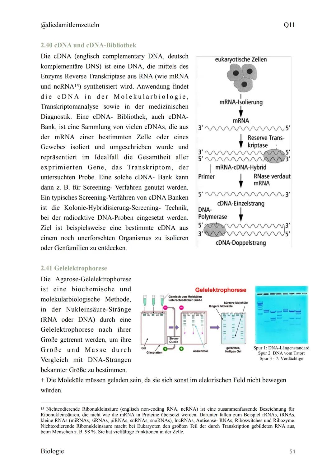 @diedamitlernzetteln
Biologie Zusammenfassung Q11
Biologie Zusammenfassung Q11
1.1 Organisation und Funktion der Zelle
1.2 Bau und Funktion 