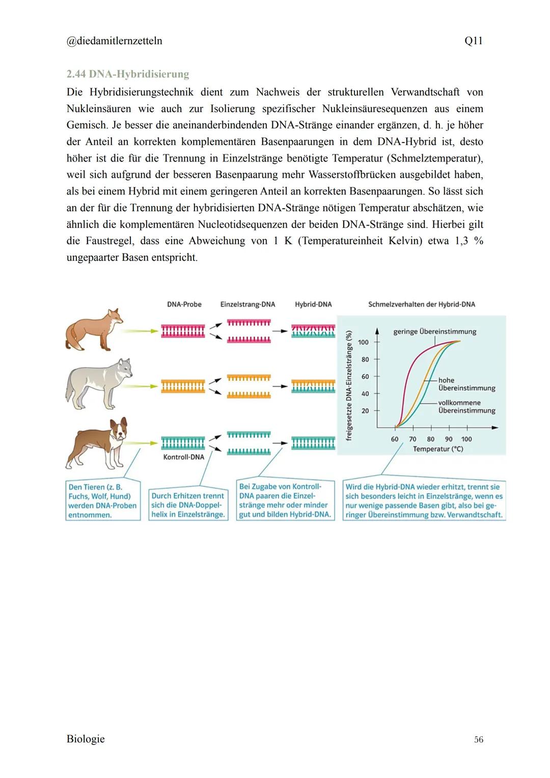 @diedamitlernzetteln
Biologie Zusammenfassung Q11
Biologie Zusammenfassung Q11
1.1 Organisation und Funktion der Zelle
1.2 Bau und Funktion 