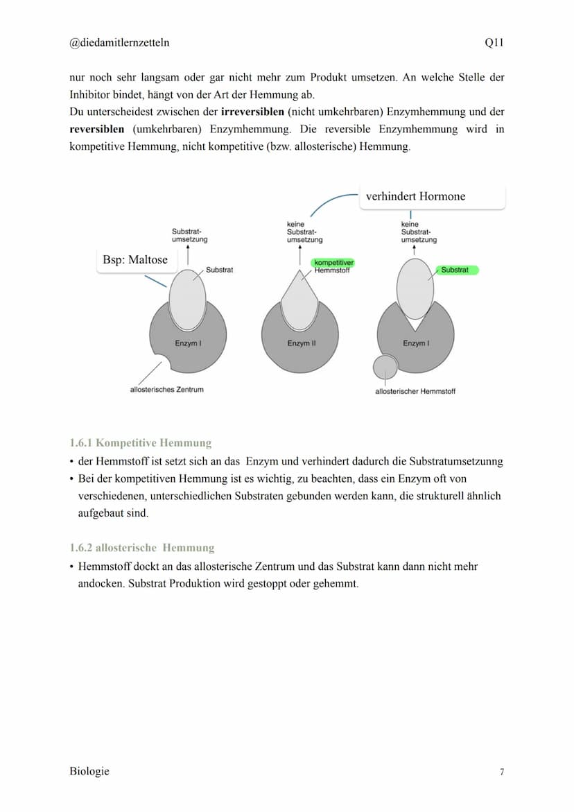 @diedamitlernzetteln
Biologie Zusammenfassung Q11
Biologie Zusammenfassung Q11
1.1 Organisation und Funktion der Zelle
1.2 Bau und Funktion 