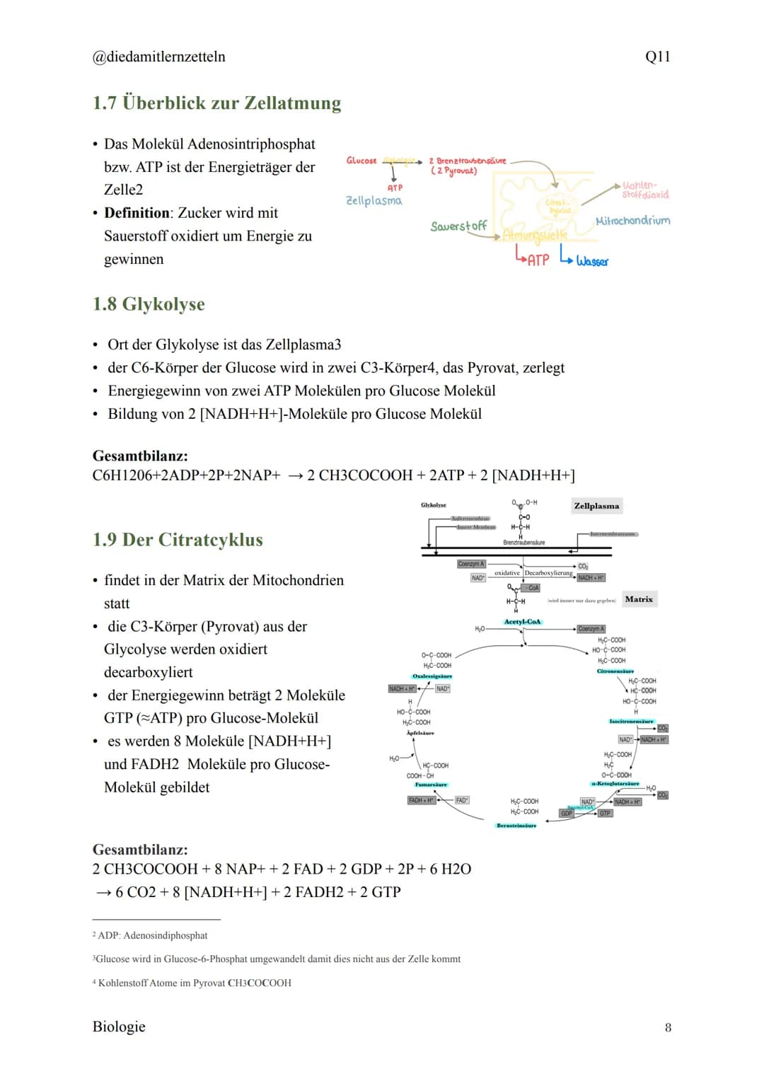 @diedamitlernzetteln
Biologie Zusammenfassung Q11
Biologie Zusammenfassung Q11
1.1 Organisation und Funktion der Zelle
1.2 Bau und Funktion 