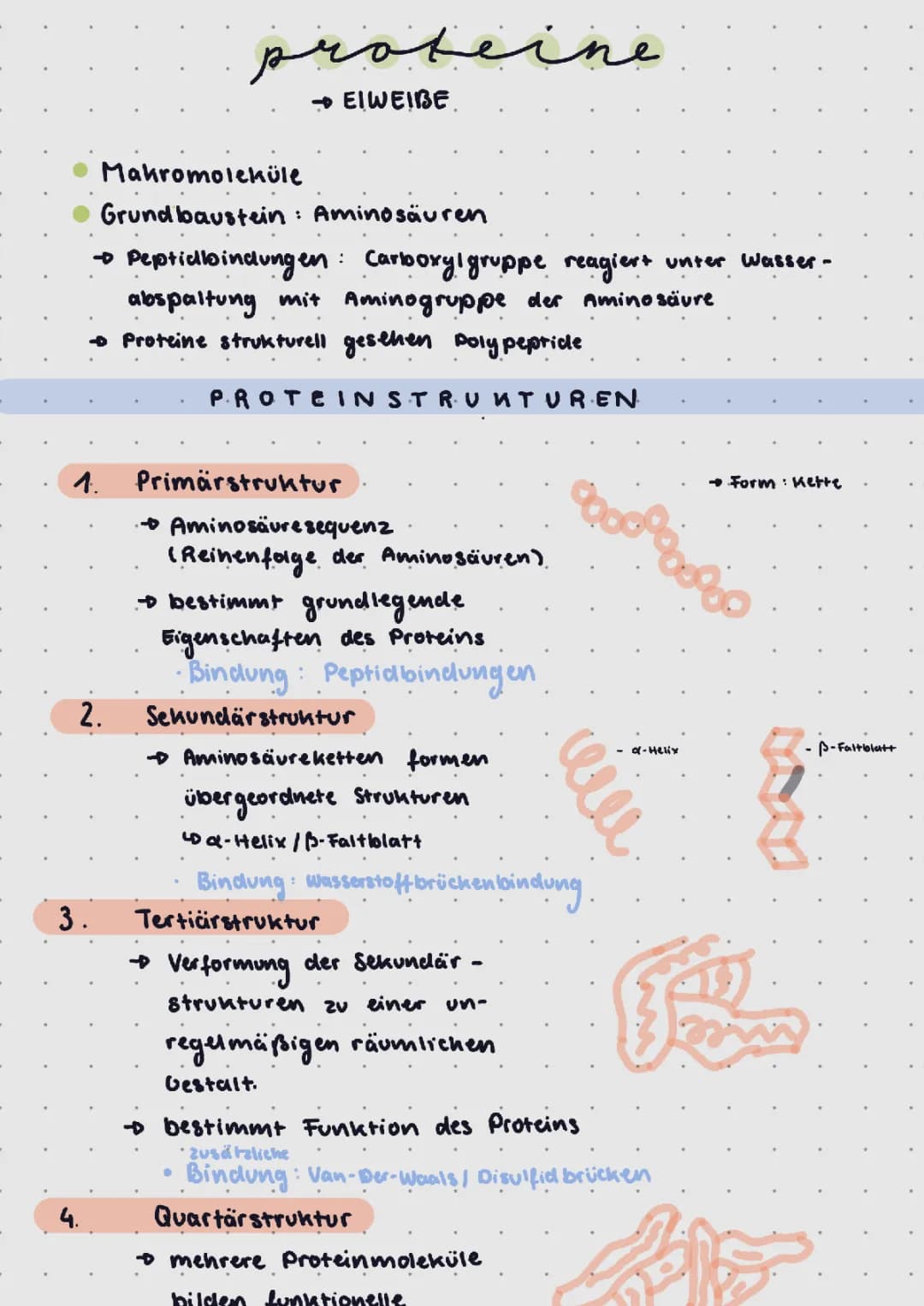 Proteine