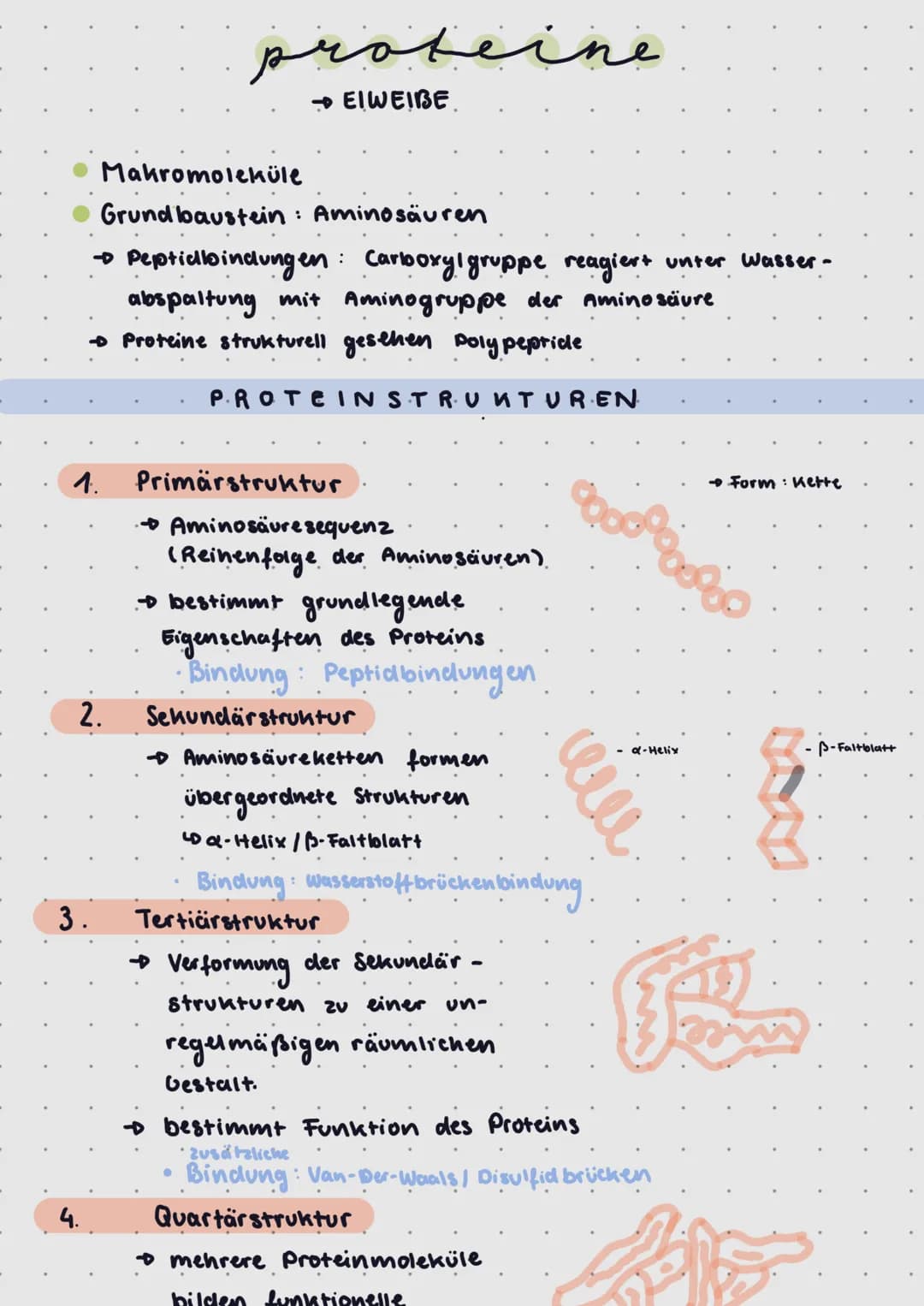 1.
Makromoleküle
Grundbaustein: Aminosäuren
+ Peptidlbindungen: Carboxyl gruppe reagiert unter wasser-
abspaltung mit Aminogruppe der Aminos