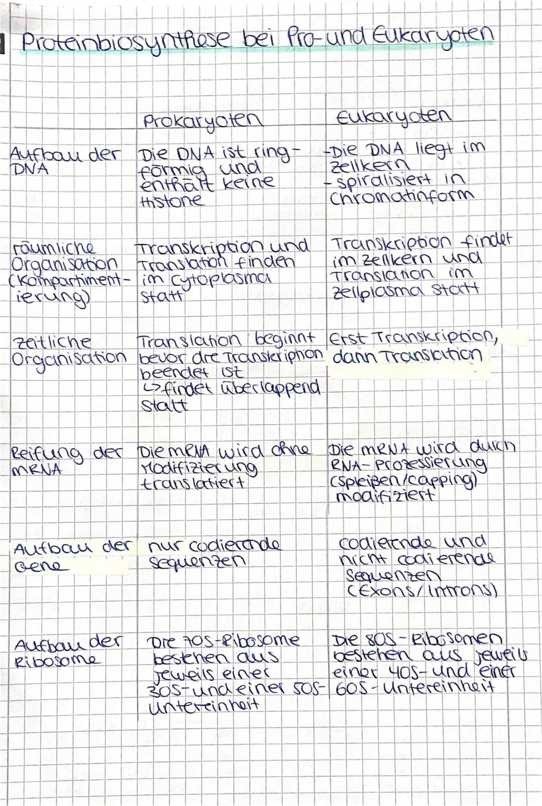 Unterschied der Proteinbiosynthese bei Pro- und Eukaryoten 