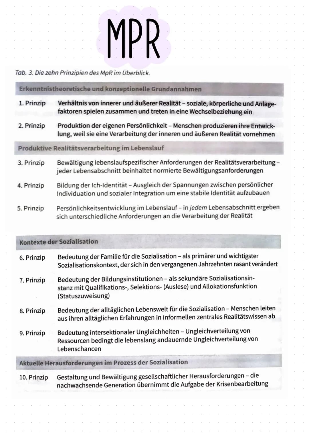 MPR
Tab. 3. Die zehn Prinzipien des MpR im Überblick.
Erkenntnistheoretische und konzeptionelle Grundannahmen
1. Prinzip
2. Prinzip
Produkti