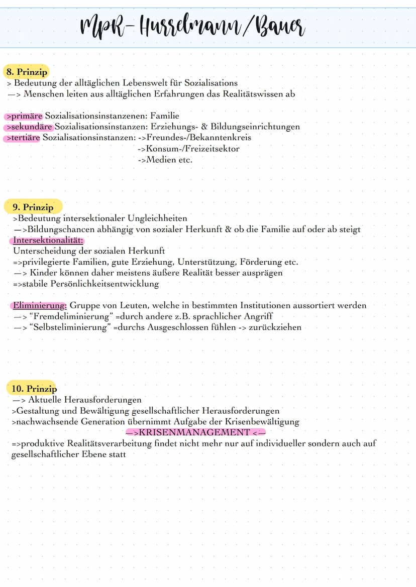 MPR
Tab. 3. Die zehn Prinzipien des MpR im Überblick.
Erkenntnistheoretische und konzeptionelle Grundannahmen
1. Prinzip
2. Prinzip
Produkti