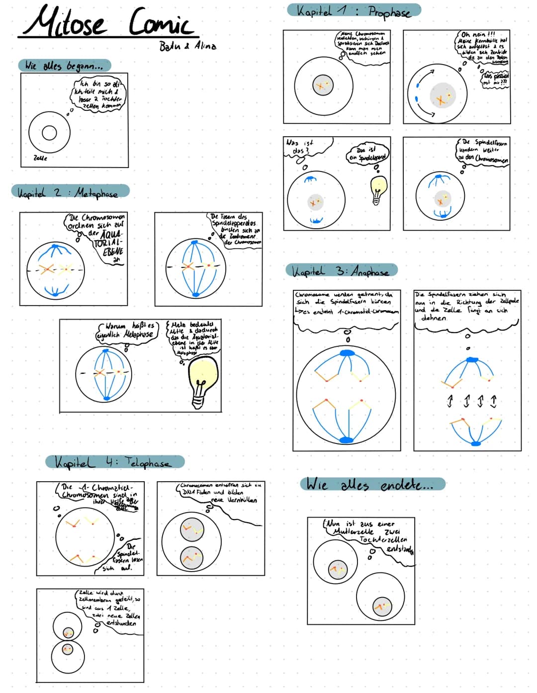 Milose Comic
Wie alles begann...
Zelle
Ich bin so alt
(Ich teile mich d
lasse 2 Tochter
(zellen kommen
Kapitel 2:
: Metaphase
Die Chromosome