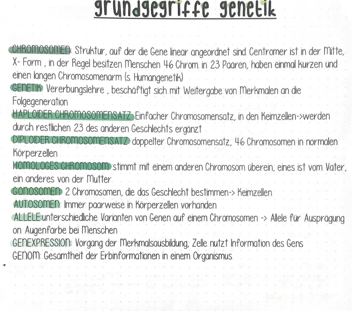 grundgegriffe genetik
CHROMOSOMEN: Struktur, auf der die Gene linear angeordnet sind. Centromer ist in der Mitte,
X-Form, in der Regel besit