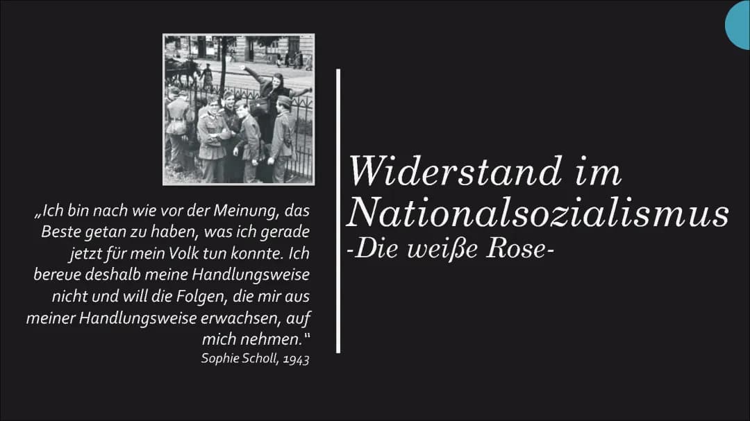 Weiße Rose