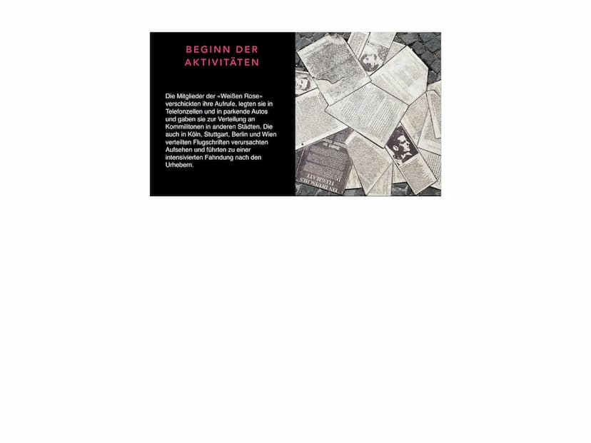 SOPHIE SCHOLL
Grün INHALTSVERZEICHNIS
• Allgemein
• Mitwirkung in Jugendorganisation
• Religiöse Einflüsse
Studium in München
• Beginn der A