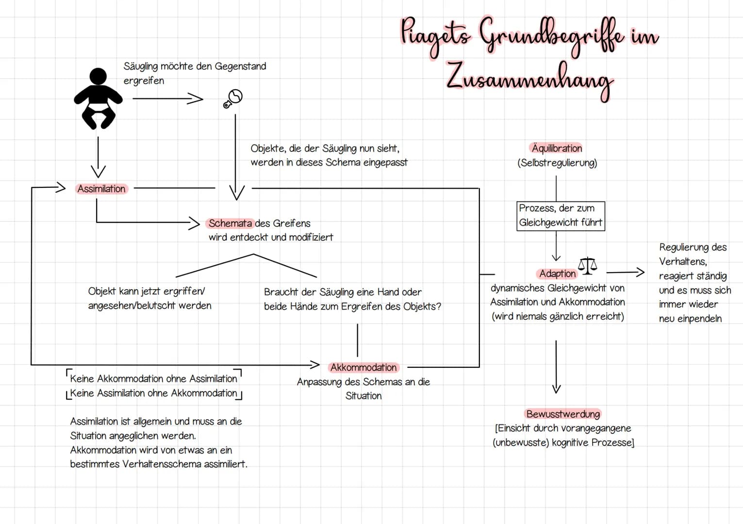 Säugling möchte den Gegenstand
ergreifen
Assimilation
Schemata des Greifens
wird entdeckt und modifiziert
Objekt kann jetzt ergriffen/
anges